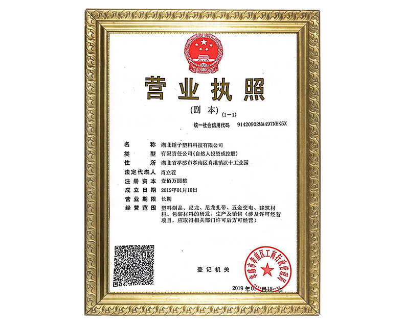 尼龙扎带详情_28