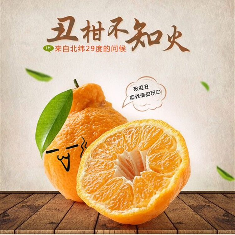 四川不知火醜橘醜柑 醜八怪橘子酸甜可口肉厚多汁5斤