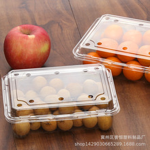 草莓包装盒 500g装  一次性透明包装盒 食品打包盒 塑料盒