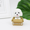 Baking cake decoration decoration new beautiful box shakes his head solid dog gold hair teddy cake ornament accessories