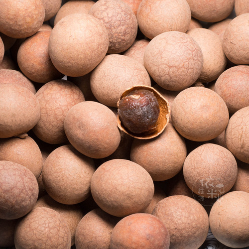 Wholesale Putian Longan, Fresh Longan Meat Dried with Shell, 500g, Dragon Eye Dried Longan, Dropshipping