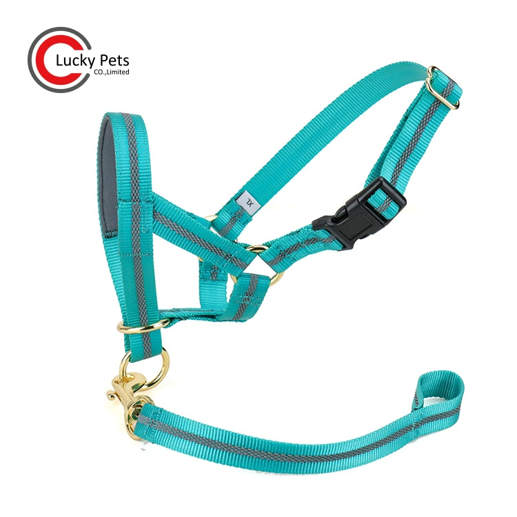 Новые внешнеторговые товары для домашних животных Регулируемая Светоотражающая нейлоновая Крышка для рта собаки Веревка с защитой от укусов Крышка для собачьего рта Товары для собак