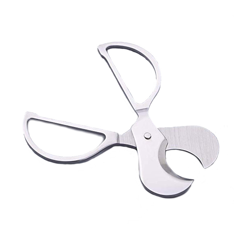 51dlV9LctdL._AC_SX569_