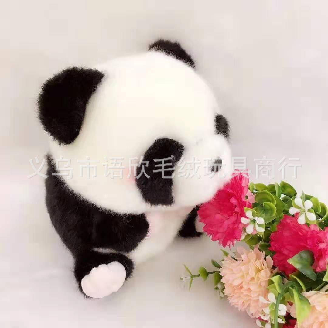 383f2769029e9357a7c4a5efaaf74e