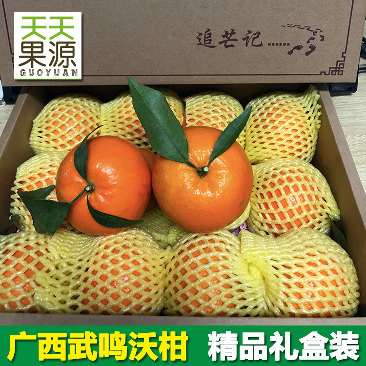 廣西武鳴沃柑精品禮盒裝新鮮水果柑橘子醜橘耙耙柑砂糖橘壹件代發