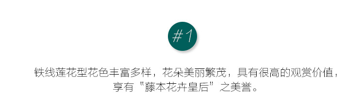 O1CN01OUTkFN1XaYxPQQSqH_!!2201