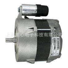 ECK04/A-2(ԭECK04/F-2/1) 210/250W ����weishaupt���WL20,WG20