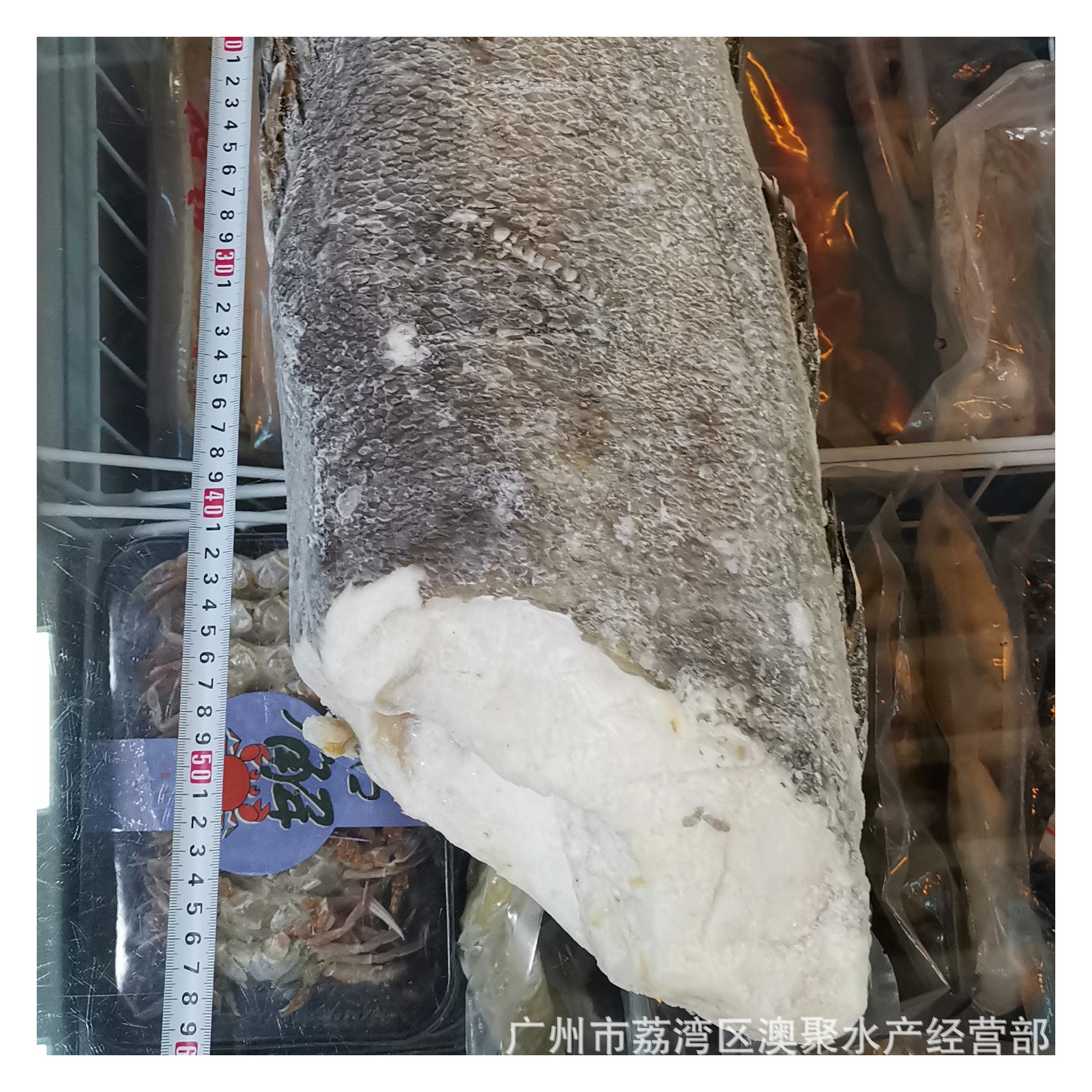 冻南极犬牙鱼法国银鳕鱼新鲜宝宝辅食250g深海鳕鱼片冷冻雪鳕鱼排-阿里巴巴