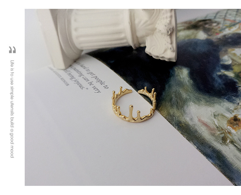 Fashion Simple Style Geometric Sterling Silver Plating Rings