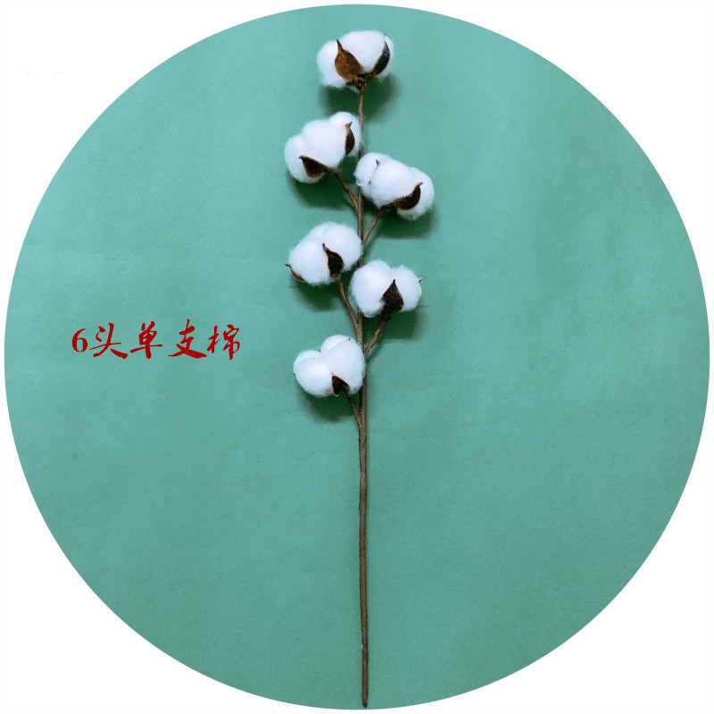 QQ picture 20191229231541
