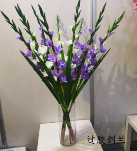 �ָ��^�z���m�������滨���m ����ֲ��ٻ� ��c�͏d�Ҿ��b�