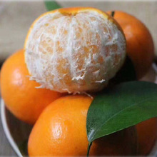 ��ϸ�ɽ�ָ̕r�����rˮ�����ٽ������Ӯa��ֱ�l�ָ������ָ̟o��