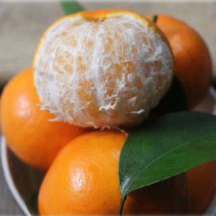 ��ϸ�ɽ�ָ̕r�����rˮ�����ٽ������Ӯa��ֱ�l�ָ������ָ̟o��