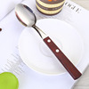 Tableware stainless steel, set, dessert spoon