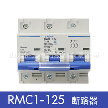 ϺRMC1-125 3PD80A100A125AС͔·