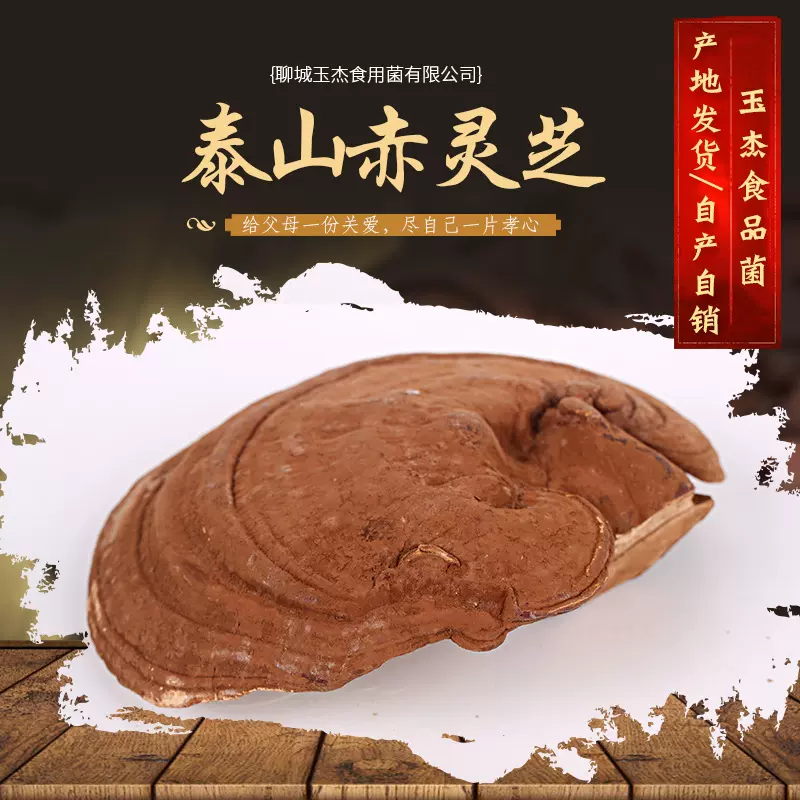山东冠县灵芝产地大量供应 泰山赤灵芝  灵芝孢子粉批发