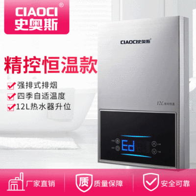 煤氣熱水器 家用防中毒觸摸大屏熱水器 煤氣熱水器 液化氣 直銷