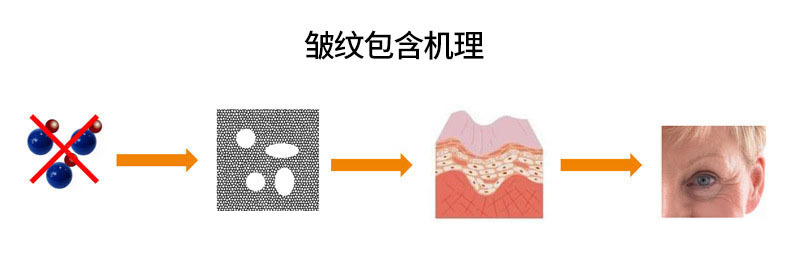 b0c2e85068d65de159ccc043698f5d