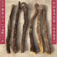 ������ɐ�خa�؃��ɹŰ�����ș��ș�S�����Ƭ���ã�30����������