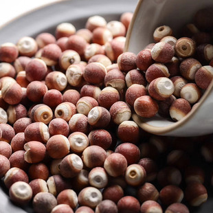 ���l�͌����ؑc�tƤ���_�_���؛�͌���ԭ���͌����u�^��һ��؛Դ