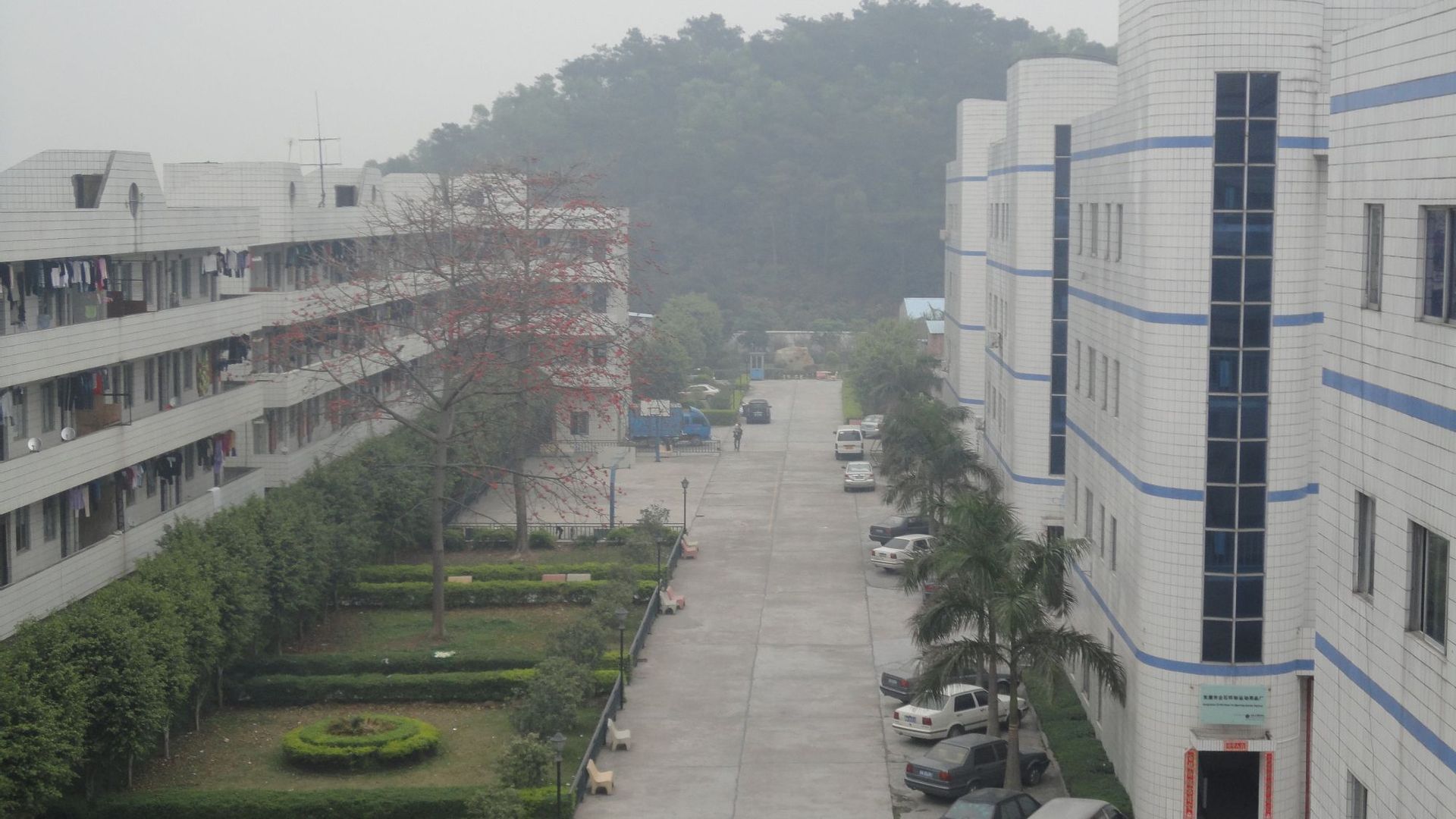DSC03772
