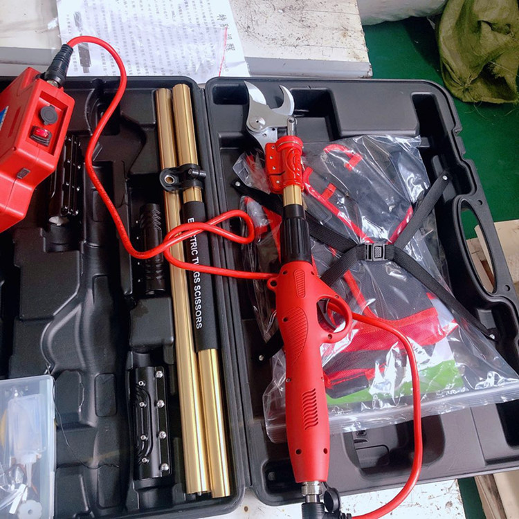 5f02d7450d5c57bb6f92539b980219