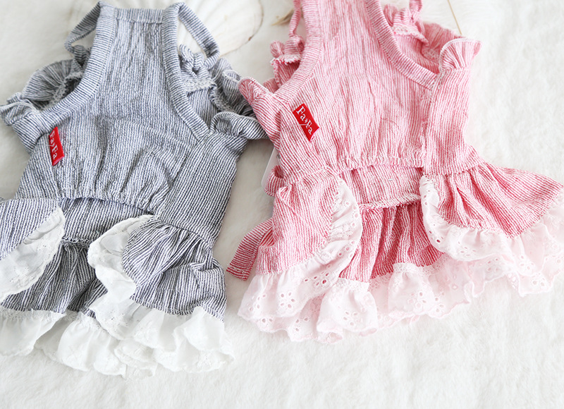 小兔花边领吊带裙