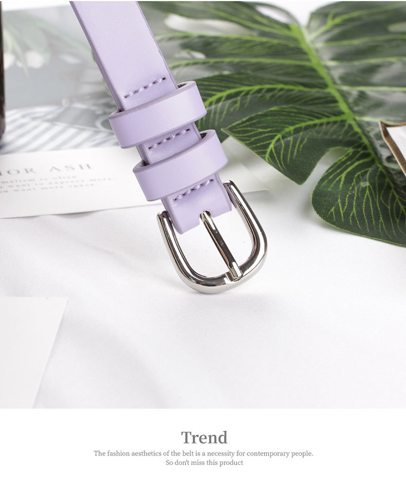 Thin Belt Dress Decoration Small Belt Wild Lady Pin Buckle Belt Belt Wholesale display picture 6