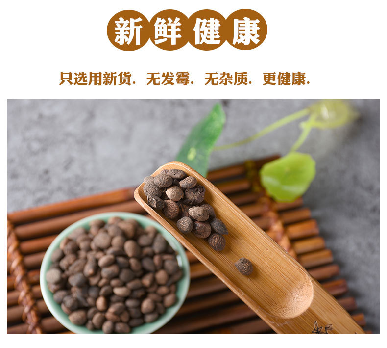Rui Ren (Prinsepia uniflora) — Dried Wild Cherry Seed for TCM Herbal Decoctions key features