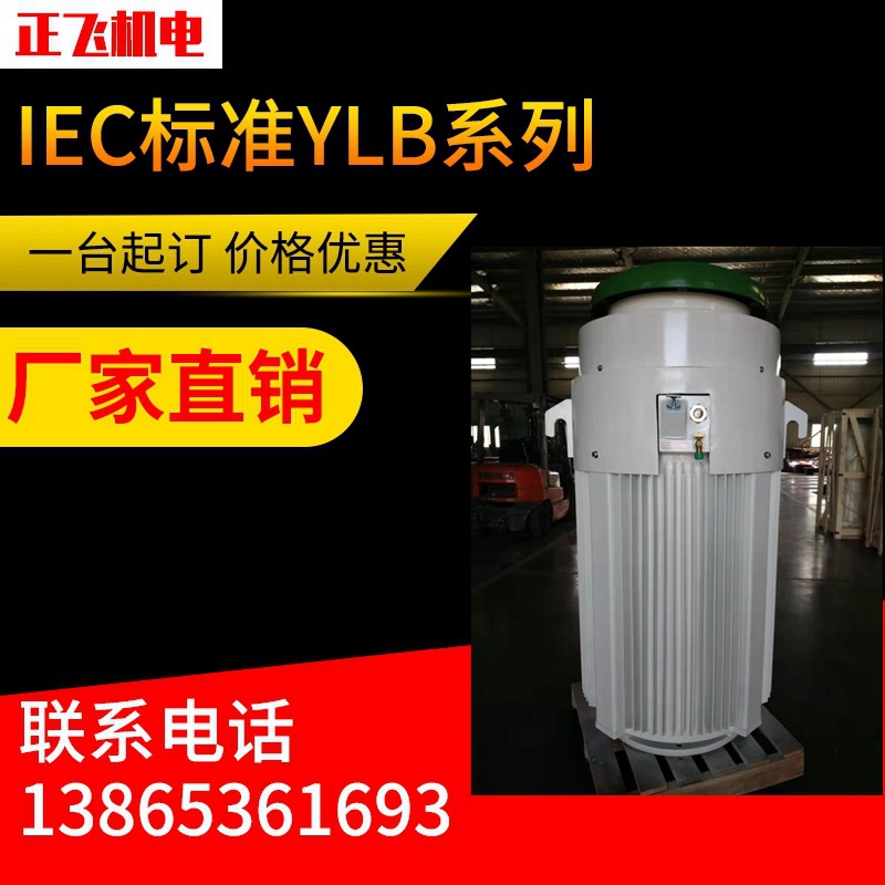 IEC标准YLB280-3-4TEFC（IP54）长轴深井泵电机  厂家直销