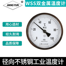 上海江云WSS-401仪器仪表测温仪工业使用温度计安装工程