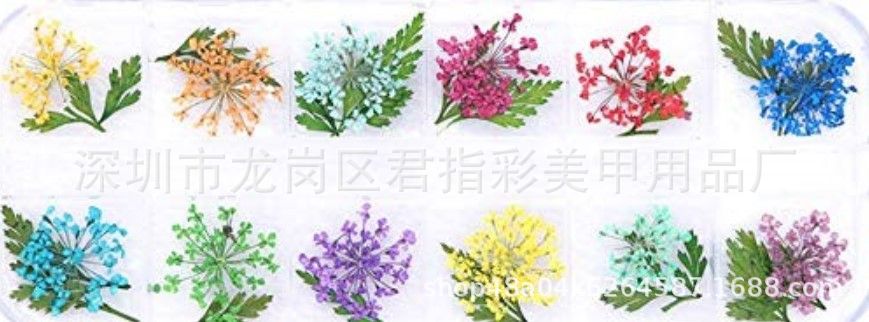 QQ图片20190727234331