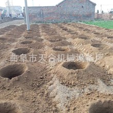 �����C�ڿәC�r��ҕ�l�Ԙ��ڿәCֲ���������ڿәC�r��