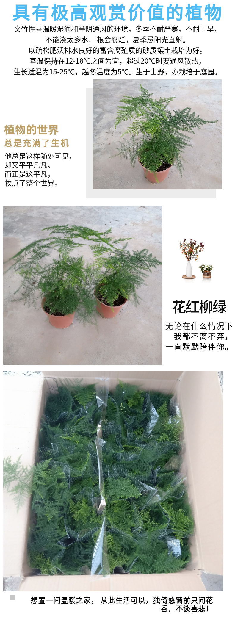 ��������6