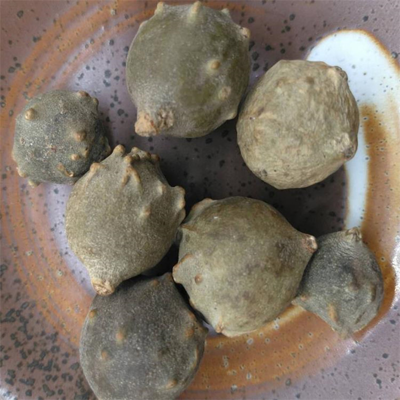 没食子 墨石子无食子 没石子 麻茶泽 冷背货大全