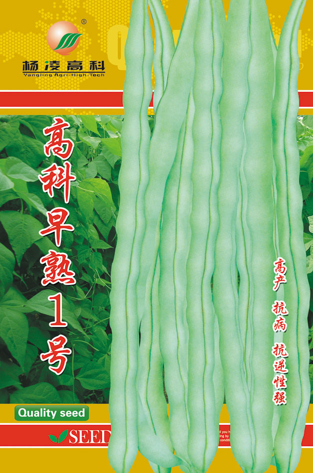 架豆王早熟無筋架豆種子早熟1號無筋豆角種子無絲豆架豆王50gg