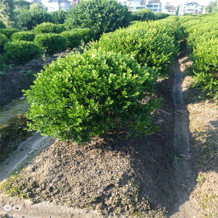 微信图片_20190924001147