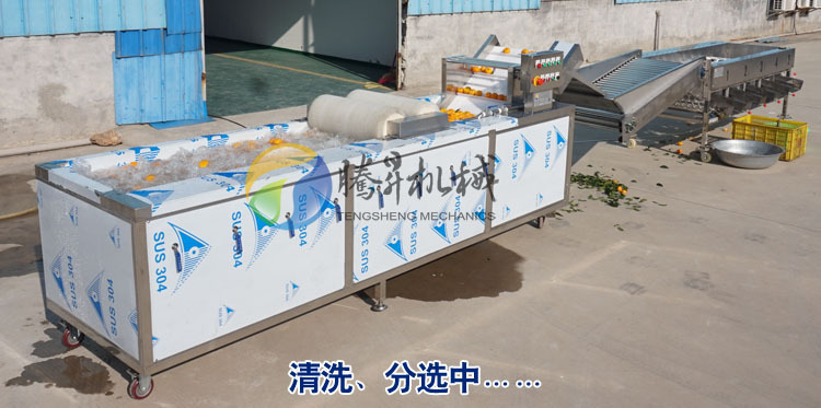 清洗分选1.jpg