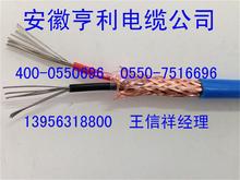 國標EXFPFP EXVPVP E型補償導線電纜400-0550696亨儀牌EXFPVP22