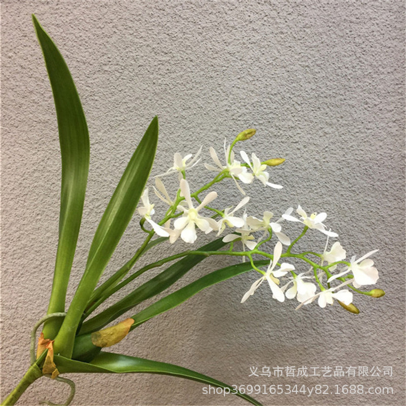 O1CN01YNmTqZ2L9IBvAzFx5_!!6834