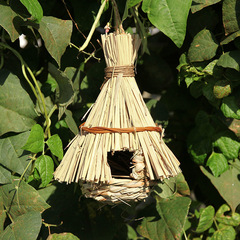 Best-selling cross-border new product creative handmade grass bird nest, preschool gardening decoration small pet supplies outdoor bird house