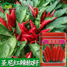 �}��t���콷�N�� �r��ˈ@�������s�����r��������������