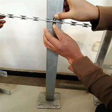 �������o�� �̽z���K ���F�z ֱ����Ƭ�̾W �S�����a���b����