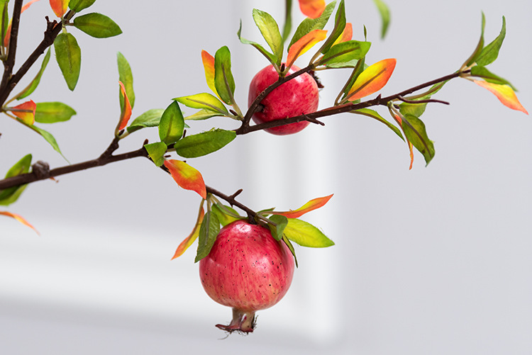 秋叶6头石榴 红色_03.jpg