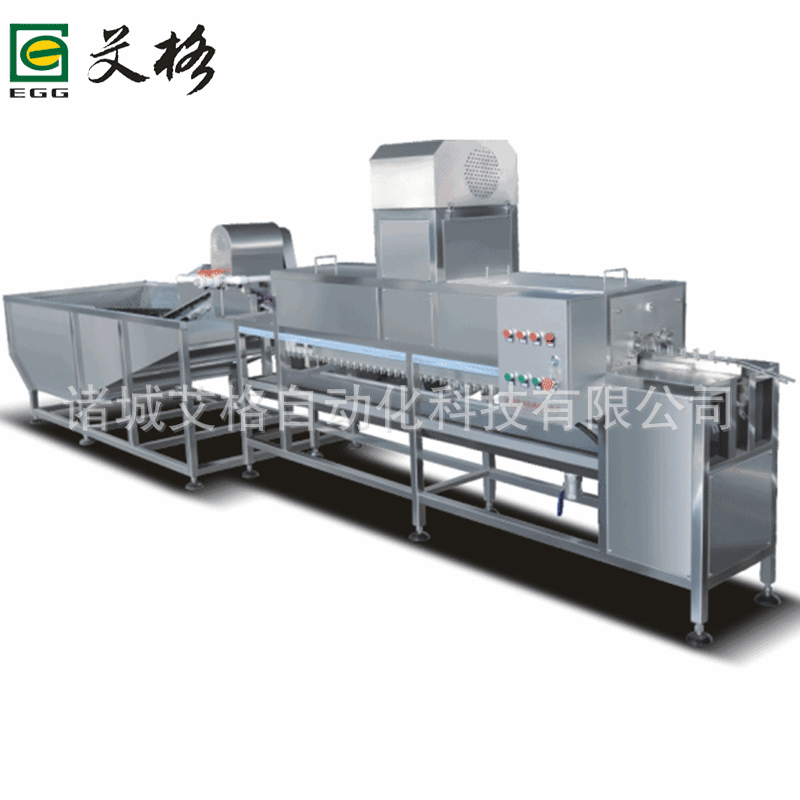 双排鸡蛋鸭蛋洗蛋机供货厂家 诸城艾格鸭蛋杀菌机洗蛋机