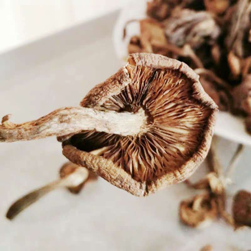 Dried Hazel Mushroom 500g Rootless Grade One Jilin Dried Mushroom for Chicken Stew overview