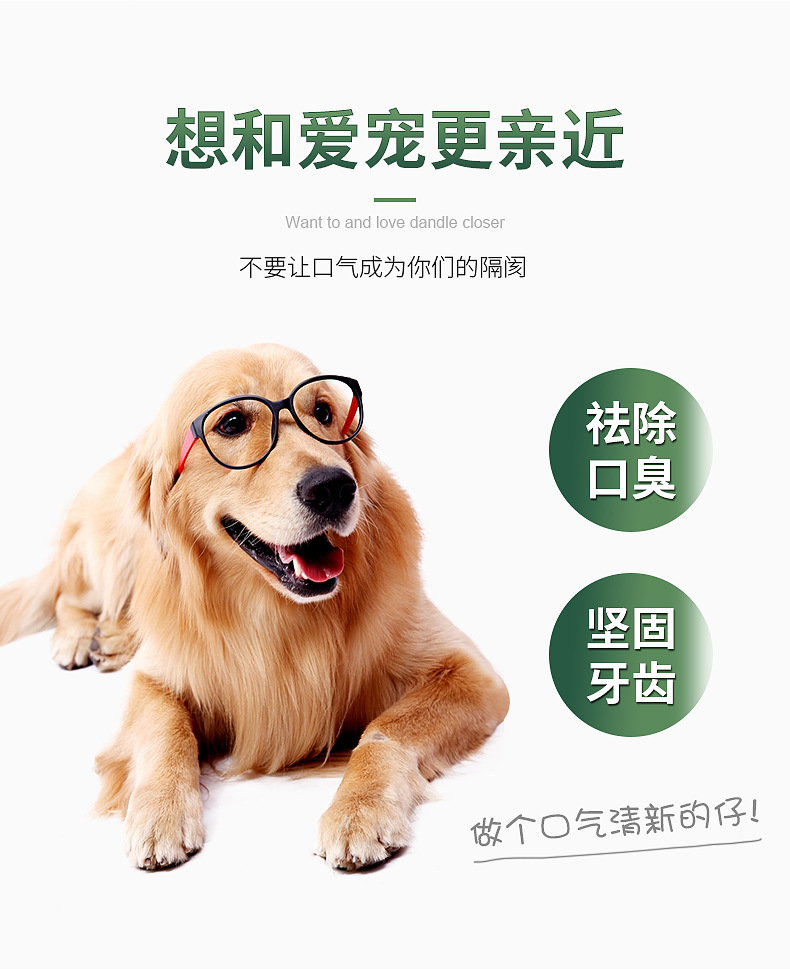 宠物牙膏-内页_02