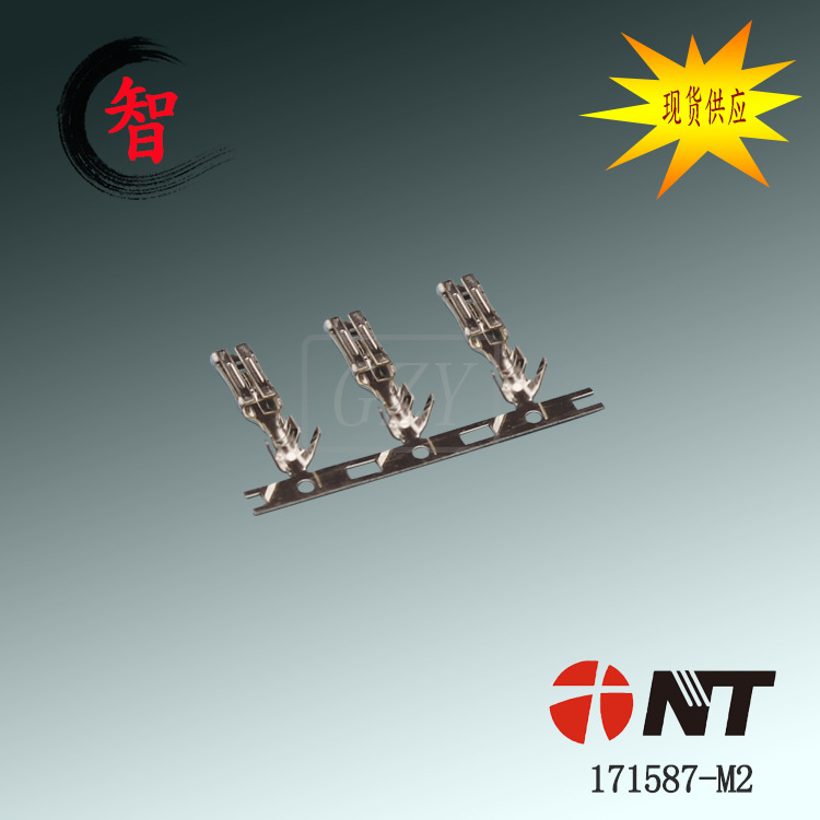 �ɶ��� ��Ӧ 171587-M2 Բ����״����  NT ��Ʒ������