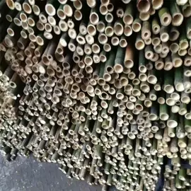 竹木藤苇干草;篱笆/栅栏;园艺护栏