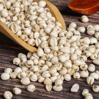 产地货源新货 贝母 传统滋补品贝母手工挑选无熏硫贝母 现货批发|ms